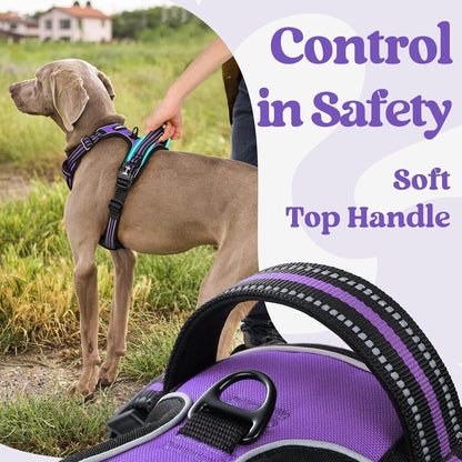 Dog Harness for Large, Updated Easy On & Off with 3 Buckles | No Pull No Choke, Walking with 2 Clips and Handle, Adjustable Soft Reflective, Blue, Large