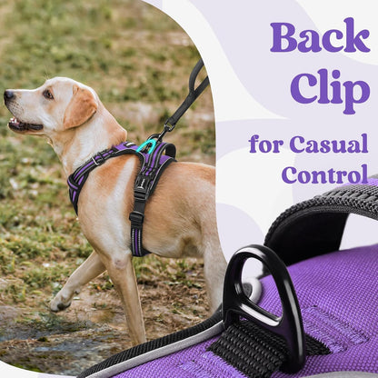 Dog Harness for Large, Updated Easy On & Off with 3 Buckles | No Pull No Choke, Walking with 2 Clips and Handle, Adjustable Soft Reflective, Blue, Large