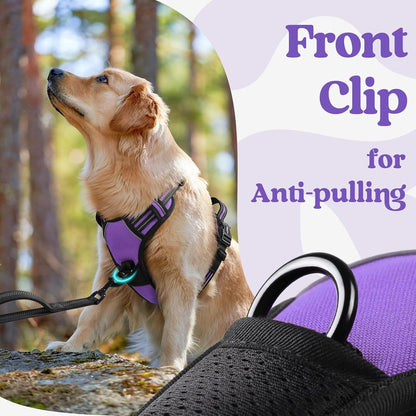 Dog Harness for Large, Updated Easy On & Off with 3 Buckles | No Pull No Choke, Walking with 2 Clips and Handle, Adjustable Soft Reflective, Blue, Large