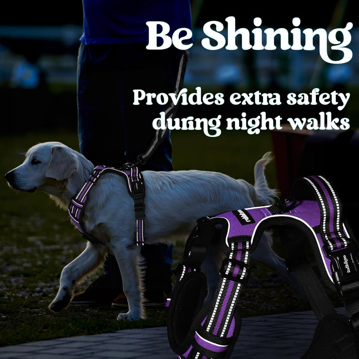 Dog Harness for Large, Updated Easy On & Off with 3 Buckles | No Pull No Choke, Walking with 2 Clips and Handle, Adjustable Soft Reflective, Blue, Large