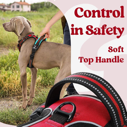 Dog Harness for Large, Updated Easy On & Off with 3 Buckles | No Pull No Choke, Walking with 2 Clips and Handle, Adjustable Soft Reflective, Blue, Large