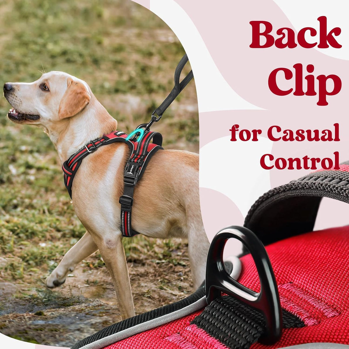 Dog Harness for Large, Updated Easy On & Off with 3 Buckles | No Pull No Choke, Walking with 2 Clips and Handle, Adjustable Soft Reflective, Blue, Large