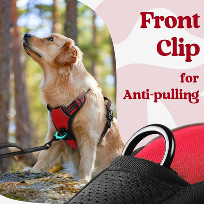 Dog Harness for Large, Updated Easy On & Off with 3 Buckles | No Pull No Choke, Walking with 2 Clips and Handle, Adjustable Soft Reflective, Blue, Large