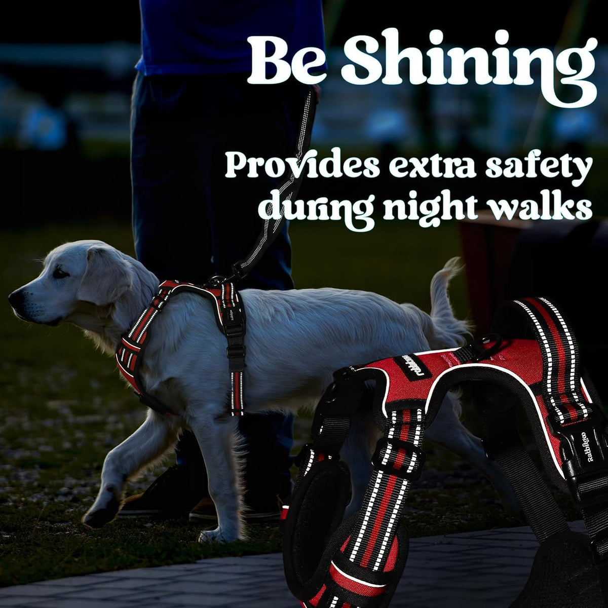 Dog Harness for Large, Updated Easy On & Off with 3 Buckles | No Pull No Choke, Walking with 2 Clips and Handle, Adjustable Soft Reflective, Blue, Large