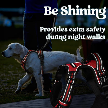 Dog Harness for Large, Updated Easy On & Off with 3 Buckles | No Pull No Choke, Walking with 2 Clips and Handle, Adjustable Soft Reflective, Blue, Large