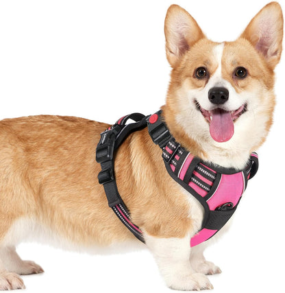 Dog Harness for Large, Updated Easy On & Off with 3 Buckles | No Pull No Choke, Walking with 2 Clips and Handle, Adjustable Soft Reflective, Blue, Large