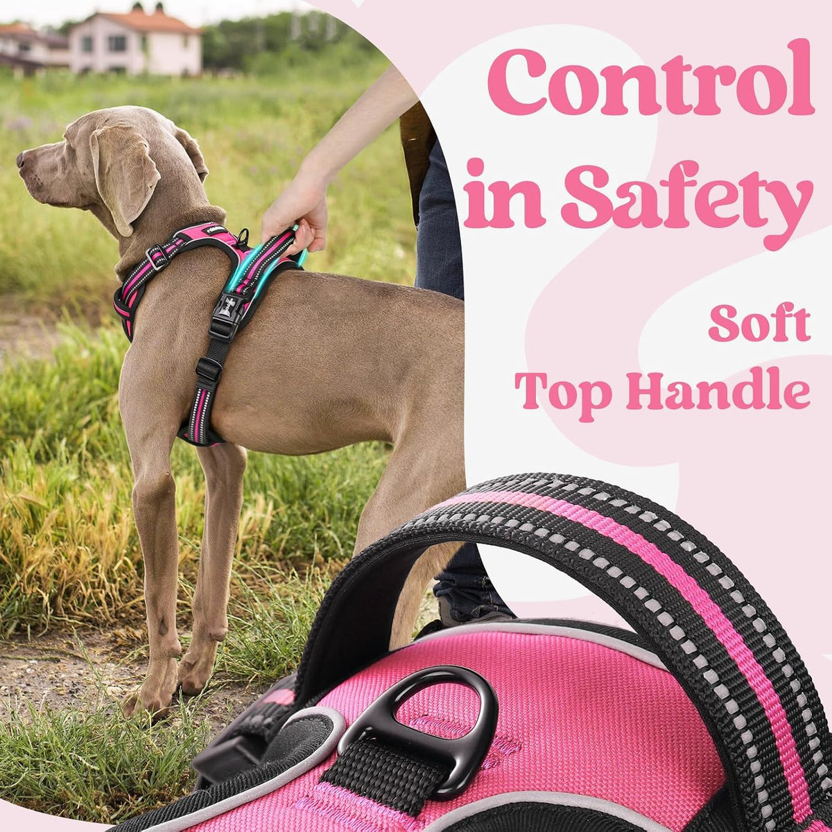 Dog Harness for Large, Updated Easy On & Off with 3 Buckles | No Pull No Choke, Walking with 2 Clips and Handle, Adjustable Soft Reflective, Blue, Large