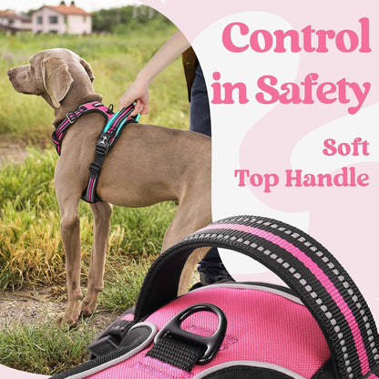 Dog Harness for Large, Updated Easy On & Off with 3 Buckles | No Pull No Choke, Walking with 2 Clips and Handle, Adjustable Soft Reflective, Blue, Large