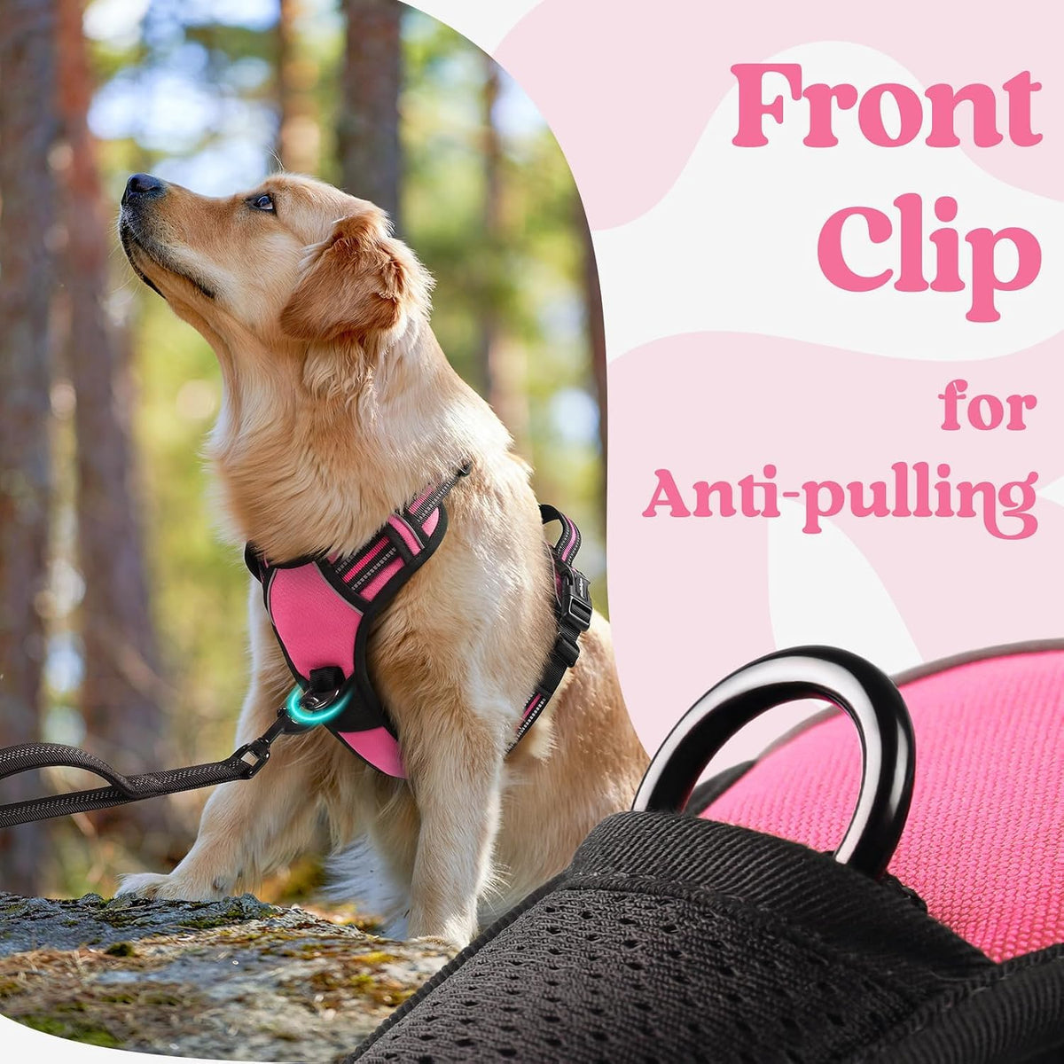 Dog Harness for Large, Updated Easy On & Off with 3 Buckles | No Pull No Choke, Walking with 2 Clips and Handle, Adjustable Soft Reflective, Blue, Large