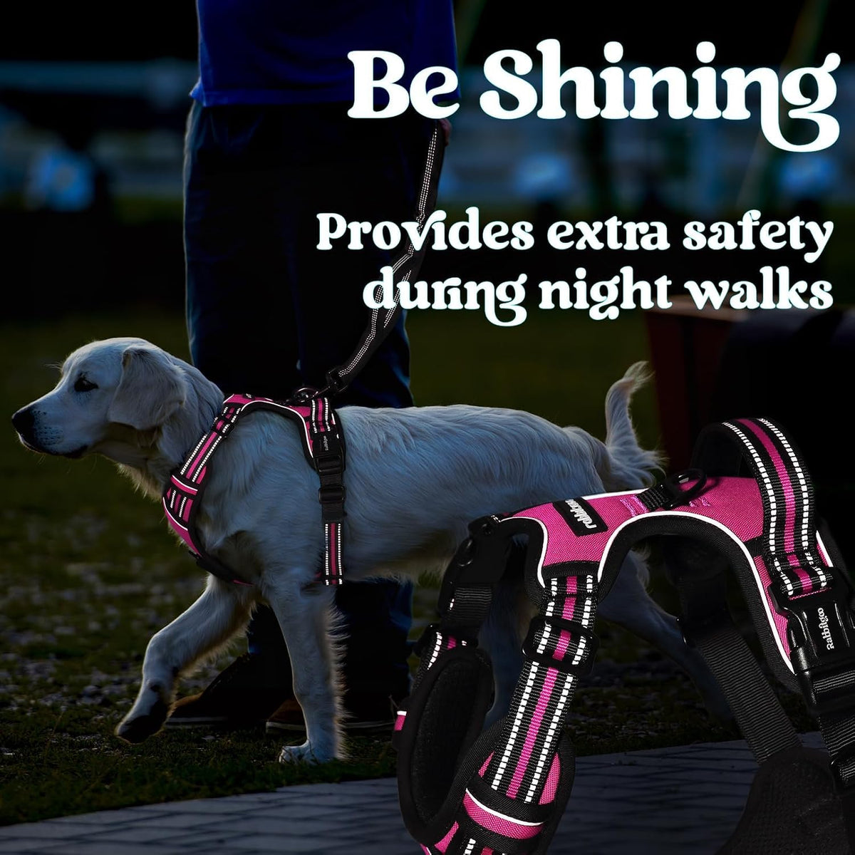 Dog Harness for Large, Updated Easy On & Off with 3 Buckles | No Pull No Choke, Walking with 2 Clips and Handle, Adjustable Soft Reflective, Blue, Large