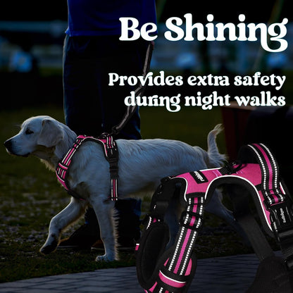 Dog Harness for Large, Updated Easy On & Off with 3 Buckles | No Pull No Choke, Walking with 2 Clips and Handle, Adjustable Soft Reflective, Blue, Large