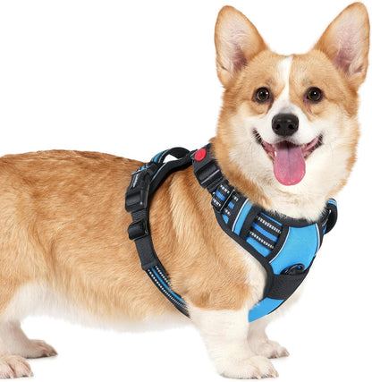 Dog Harness for Large, Updated Easy On & Off with 3 Buckles | No Pull No Choke, Walking with 2 Clips and Handle, Adjustable Soft Reflective, Blue, Large