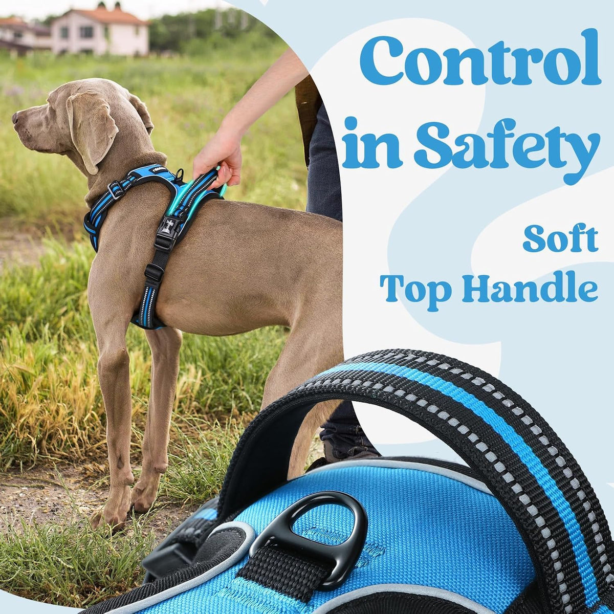 Dog Harness for Large, Updated Easy On & Off with 3 Buckles | No Pull No Choke, Walking with 2 Clips and Handle, Adjustable Soft Reflective, Blue, Large