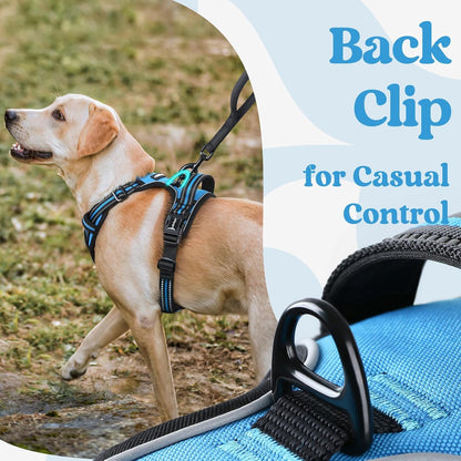 Dog Harness for Large, Updated Easy On & Off with 3 Buckles | No Pull No Choke, Walking with 2 Clips and Handle, Adjustable Soft Reflective, Blue, Large