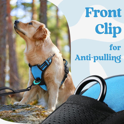 Dog Harness for Large, Updated Easy On & Off with 3 Buckles | No Pull No Choke, Walking with 2 Clips and Handle, Adjustable Soft Reflective, Blue, Large