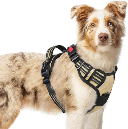 Dog Harness for Large, Updated Easy On & Off with 3 Buckles | No Pull No Choke, Walking with 2 Clips and Handle, Adjustable Soft Reflective, Blue, Large