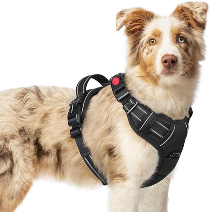 Dog Harness for Large, Updated Easy On & Off with 3 Buckles | No Pull No Choke, Walking with 2 Clips and Handle, Adjustable Soft Reflective, Blue, Large