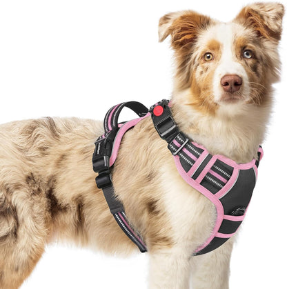 Dog Harness for Large, Updated Easy On & Off with 3 Buckles | No Pull No Choke, Walking with 2 Clips and Handle, Adjustable Soft Reflective, Blue, Large