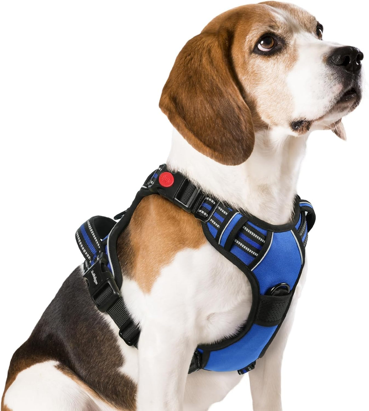 Dog Harness for Large, Updated Easy On & Off with 3 Buckles | No Pull No Choke, Walking with 2 Clips and Handle, Adjustable Soft Reflective, Blue, Large
