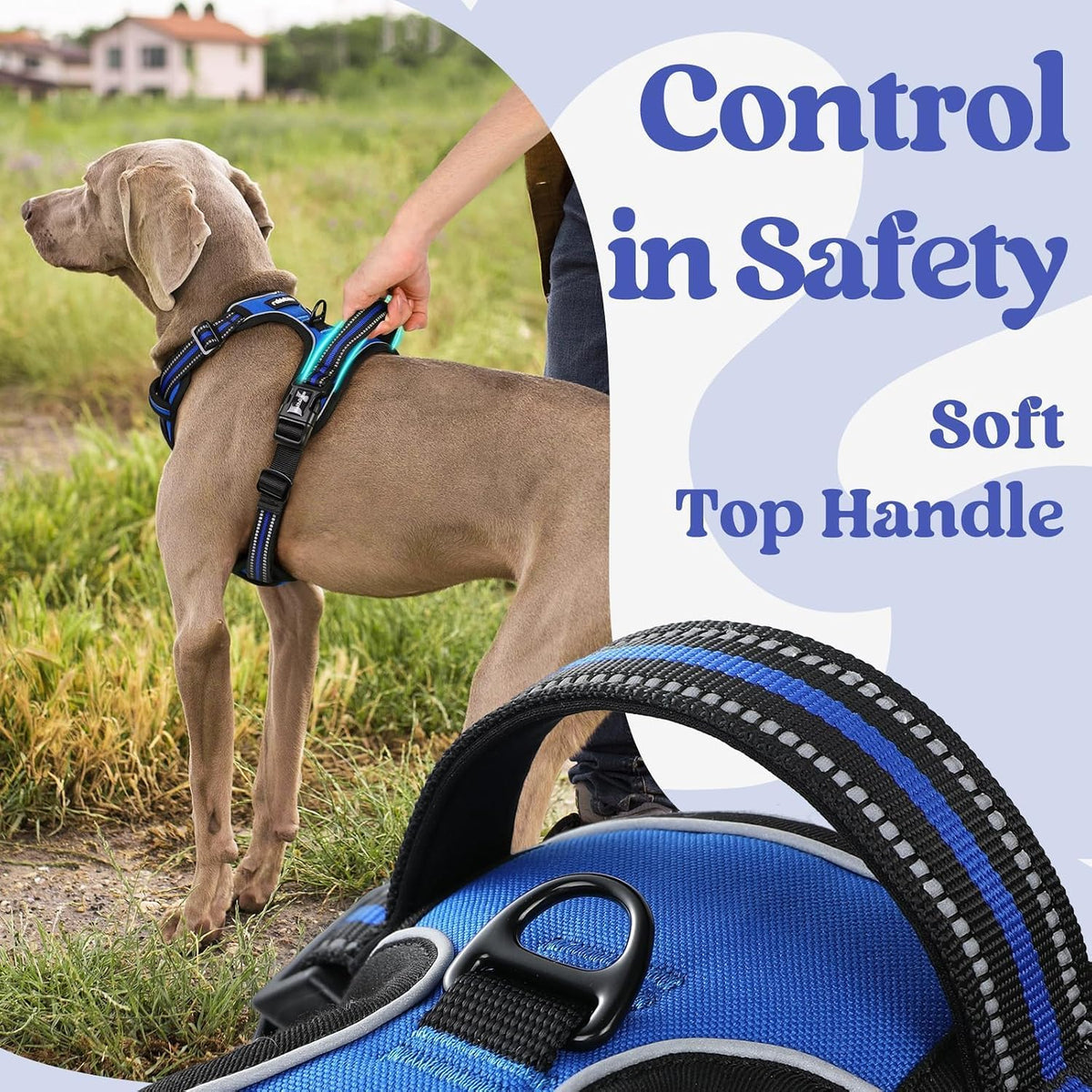 Dog Harness for Large, Updated Easy On & Off with 3 Buckles | No Pull No Choke, Walking with 2 Clips and Handle, Adjustable Soft Reflective, Blue, Large