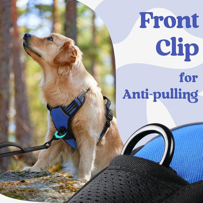 Dog Harness for Large, Updated Easy On & Off with 3 Buckles | No Pull No Choke, Walking with 2 Clips and Handle, Adjustable Soft Reflective, Blue, Large