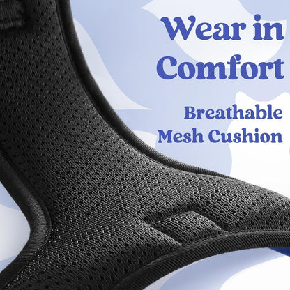 Dog Harness for Large, Updated Easy On & Off with 3 Buckles | No Pull No Choke, Walking with 2 Clips and Handle, Adjustable Soft Reflective, Blue, Large