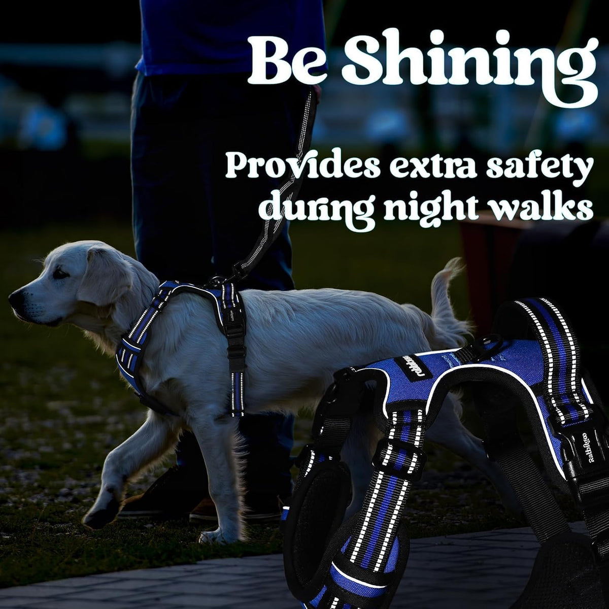 Dog Harness for Large, Updated Easy On & Off with 3 Buckles | No Pull No Choke, Walking with 2 Clips and Handle, Adjustable Soft Reflective, Blue, Large