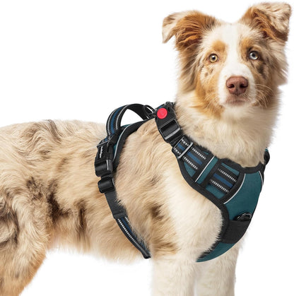 Dog Harness for Large, Updated Easy On & Off with 3 Buckles | No Pull No Choke, Walking with 2 Clips and Handle, Adjustable Soft Reflective, Blue, Large