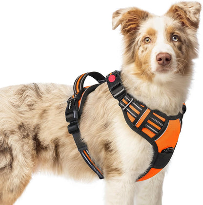 Dog Harness for Large, Updated Easy On & Off with 3 Buckles | No Pull No Choke, Walking with 2 Clips and Handle, Adjustable Soft Reflective, Blue, Large