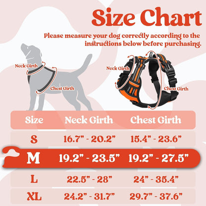Dog Harness for Large, Updated Easy On & Off with 3 Buckles | No Pull No Choke, Walking with 2 Clips and Handle, Adjustable Soft Reflective, Blue, Large