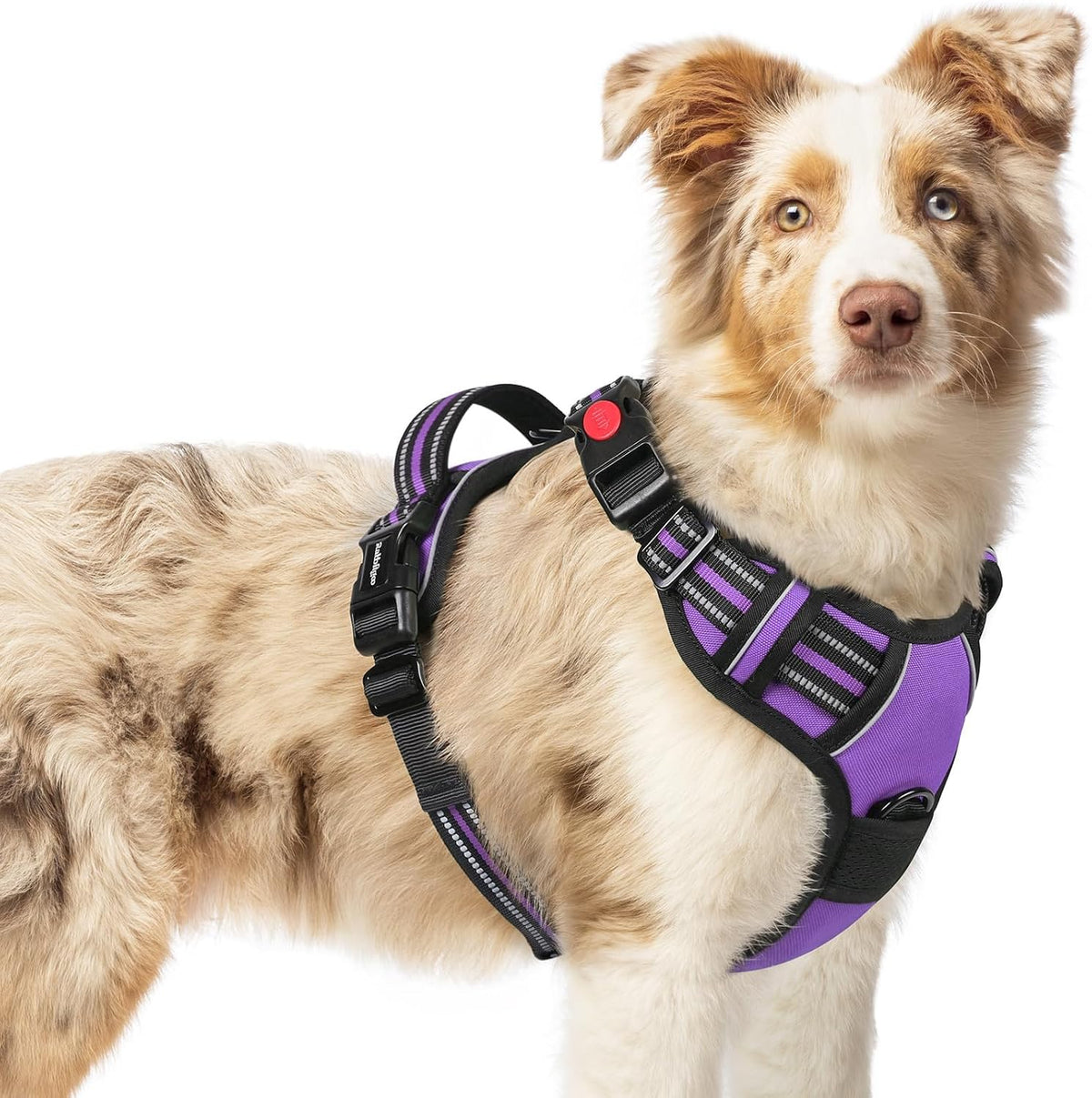 Dog Harness for Large, Updated Easy On & Off with 3 Buckles | No Pull No Choke, Walking with 2 Clips and Handle, Adjustable Soft Reflective, Blue, Large