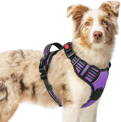 Dog Harness for Large, Updated Easy On & Off with 3 Buckles | No Pull No Choke, Walking with 2 Clips and Handle, Adjustable Soft Reflective, Blue, Large