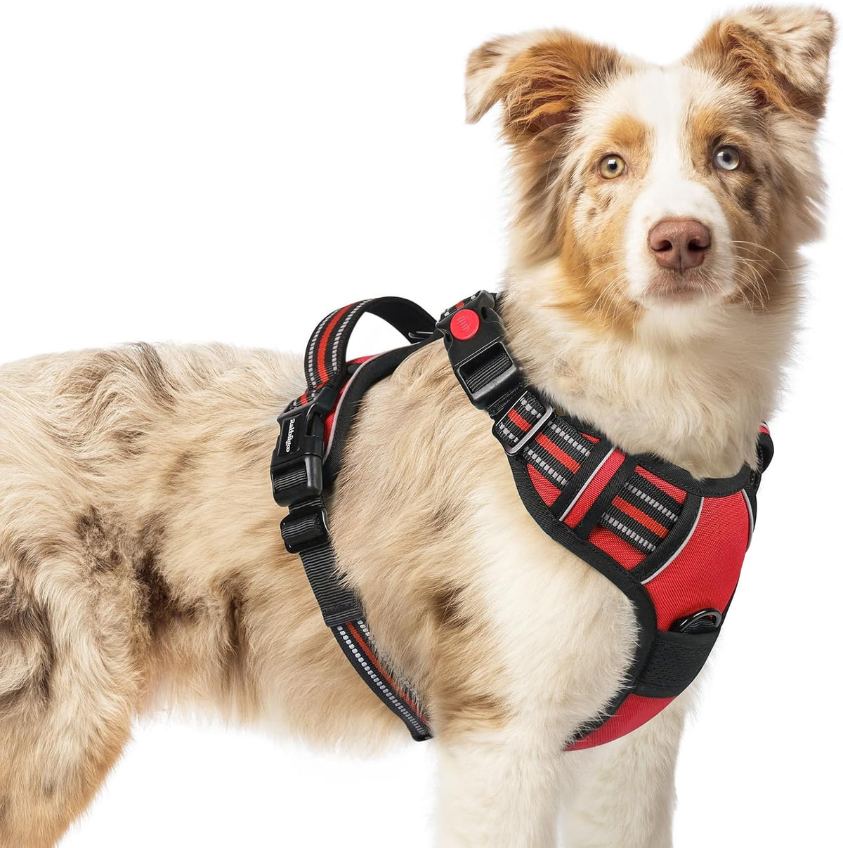 Dog Harness for Large, Updated Easy On & Off with 3 Buckles | No Pull No Choke, Walking with 2 Clips and Handle, Adjustable Soft Reflective, Blue, Large