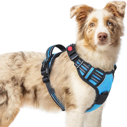 Dog Harness for Large, Updated Easy On & Off with 3 Buckles | No Pull No Choke, Walking with 2 Clips and Handle, Adjustable Soft Reflective, Blue, Large