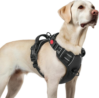 Dog Harness for Large, Updated Easy On & Off with 3 Buckles | No Pull No Choke, Walking with 2 Clips and Handle, Adjustable Soft Reflective, Blue, Large
