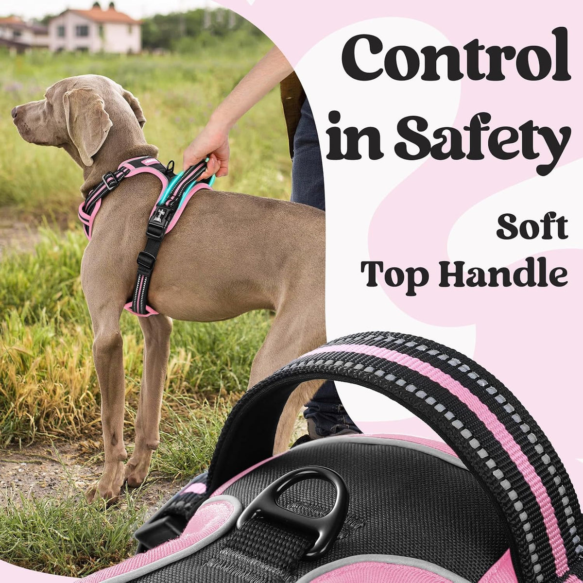 Dog Harness for Large, Updated Easy On & Off with 3 Buckles | No Pull No Choke, Walking with 2 Clips and Handle, Adjustable Soft Reflective, Blue, Large