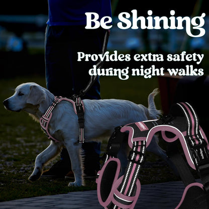 Dog Harness for Large, Updated Easy On & Off with 3 Buckles | No Pull No Choke, Walking with 2 Clips and Handle, Adjustable Soft Reflective, Blue, Large