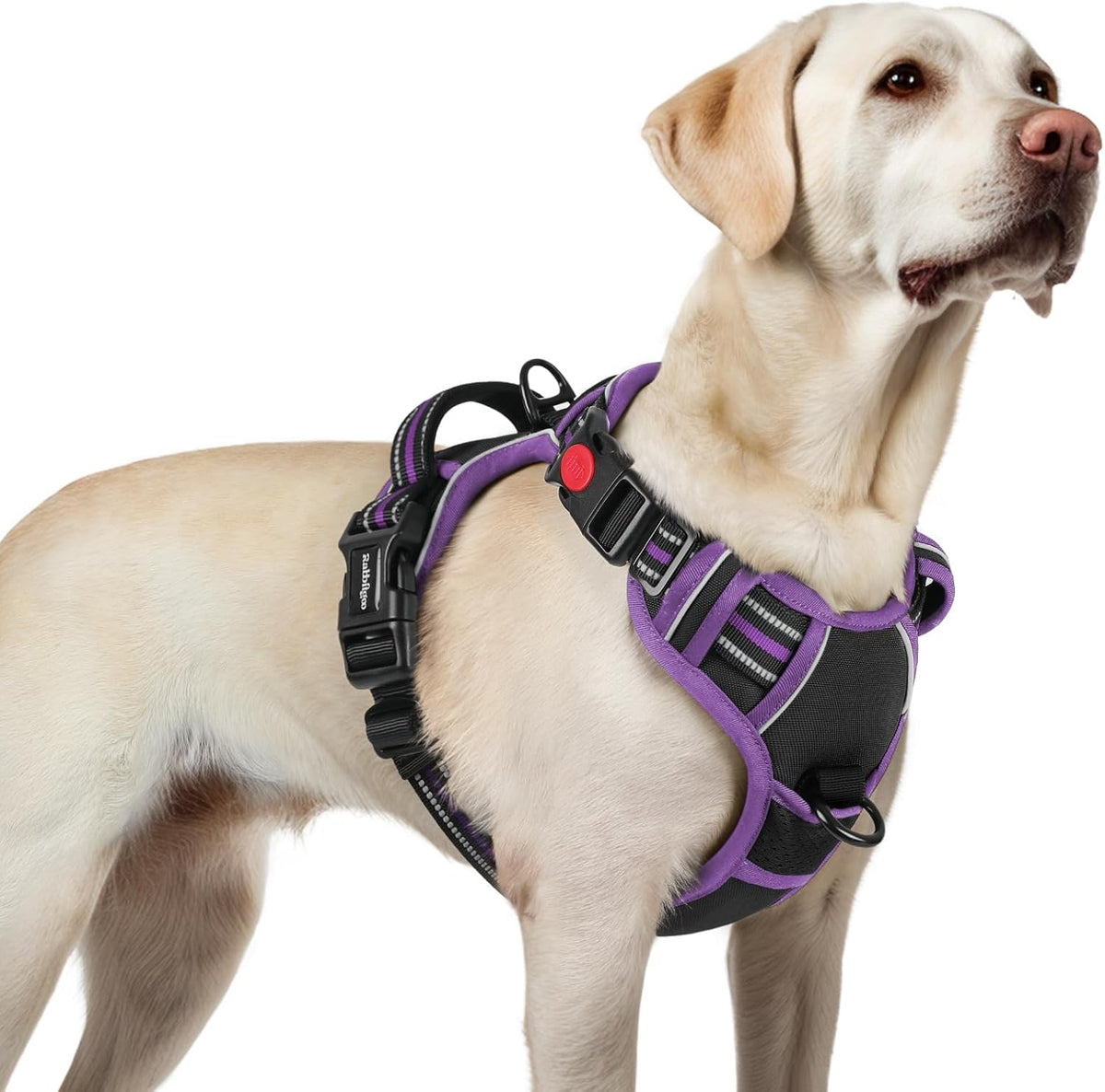Dog Harness for Large, Updated Easy On & Off with 3 Buckles | No Pull No Choke, Walking with 2 Clips and Handle, Adjustable Soft Reflective, Blue, Large