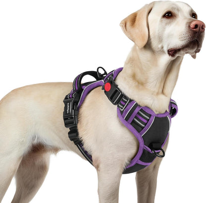Dog Harness for Large, Updated Easy On & Off with 3 Buckles | No Pull No Choke, Walking with 2 Clips and Handle, Adjustable Soft Reflective, Blue, Large