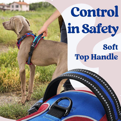 Dog Harness for Large, Updated Easy On & Off with 3 Buckles | No Pull No Choke, Walking with 2 Clips and Handle, Adjustable Soft Reflective, Blue, Large
