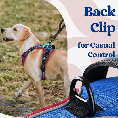 Dog Harness for Large, Updated Easy On & Off with 3 Buckles | No Pull No Choke, Walking with 2 Clips and Handle, Adjustable Soft Reflective, Blue, Large