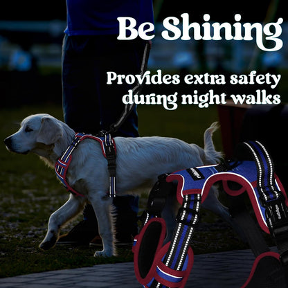 Dog Harness for Large, Updated Easy On & Off with 3 Buckles | No Pull No Choke, Walking with 2 Clips and Handle, Adjustable Soft Reflective, Blue, Large