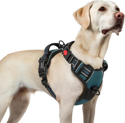 Dog Harness for Large, Updated Easy On & Off with 3 Buckles | No Pull No Choke, Walking with 2 Clips and Handle, Adjustable Soft Reflective, Blue, Large