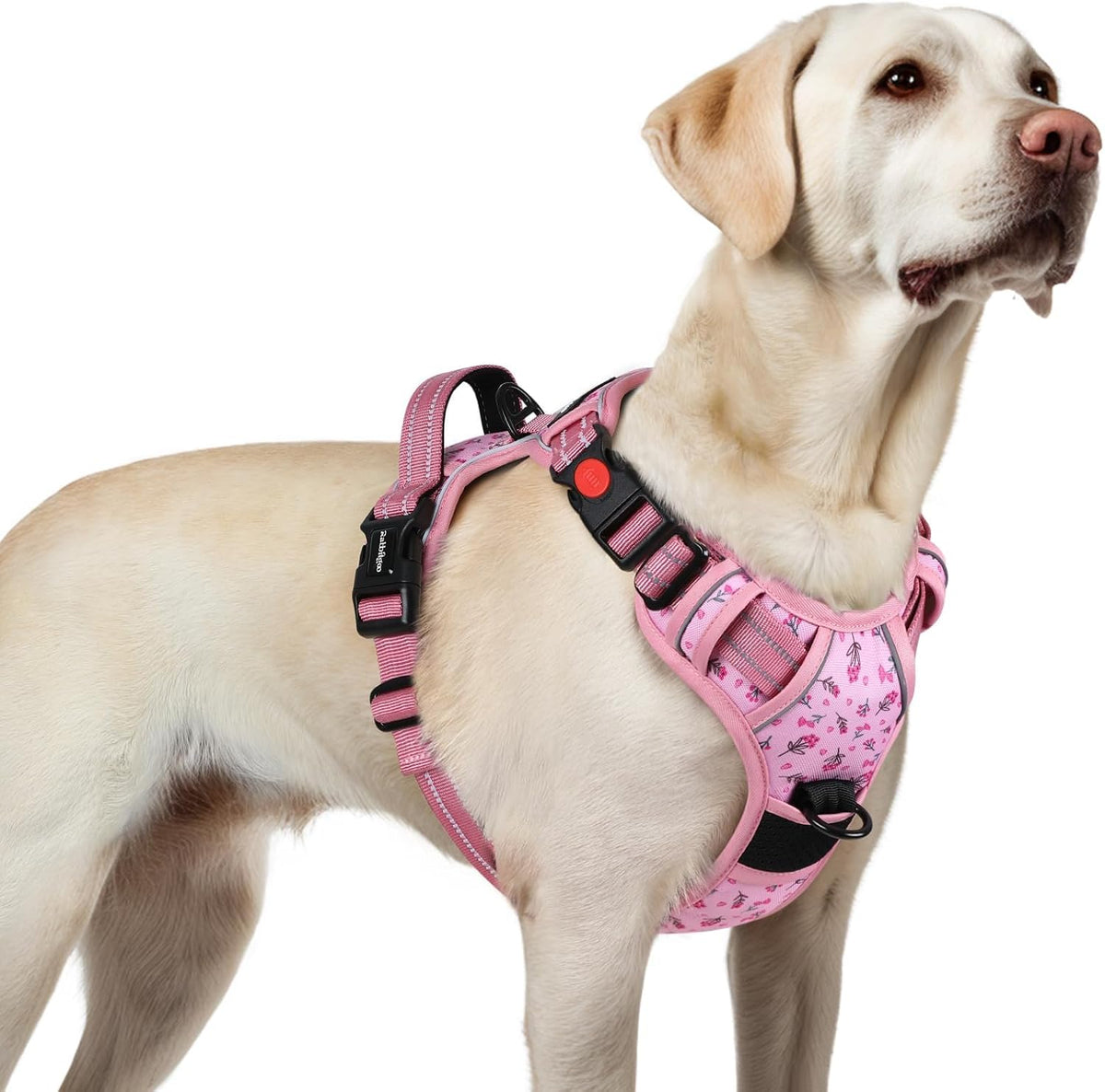 Dog Harness for Large, Updated Easy On & Off with 3 Buckles | No Pull No Choke, Walking with 2 Clips and Handle, Adjustable Soft Reflective, Blue, Large