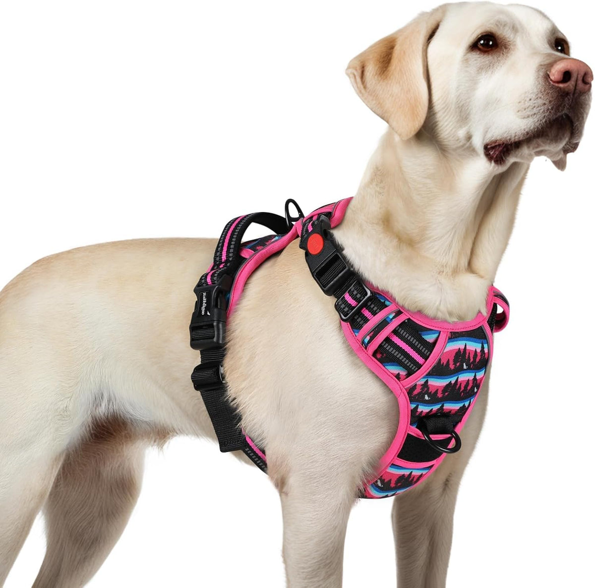 Dog Harness for Large, Updated Easy On & Off with 3 Buckles | No Pull No Choke, Walking with 2 Clips and Handle, Adjustable Soft Reflective, Blue, Large