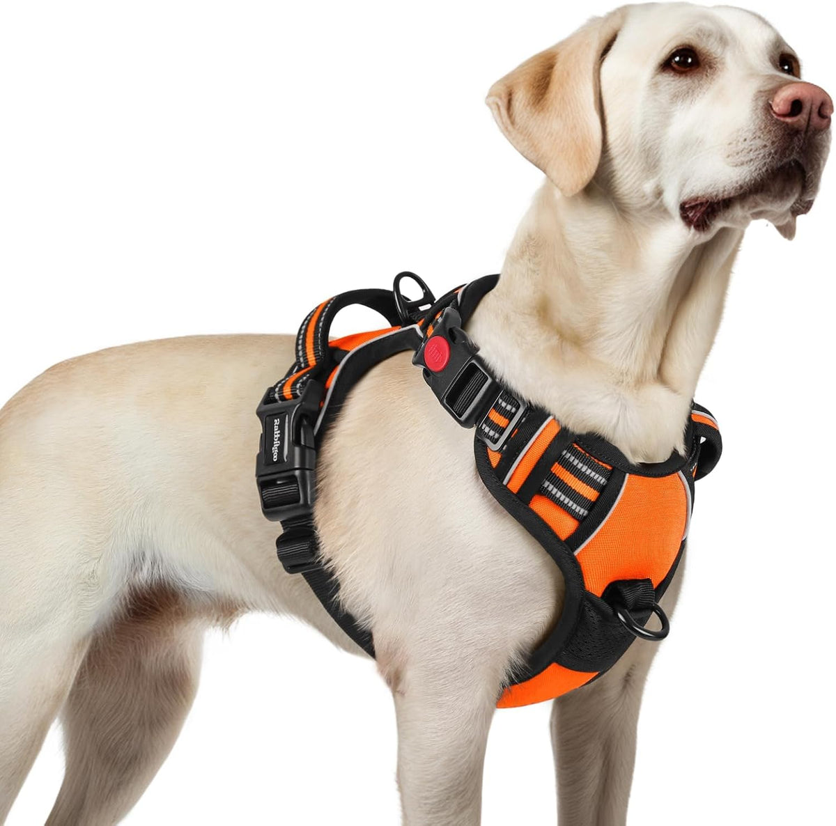 Dog Harness for Large, Updated Easy On & Off with 3 Buckles | No Pull No Choke, Walking with 2 Clips and Handle, Adjustable Soft Reflective, Blue, Large