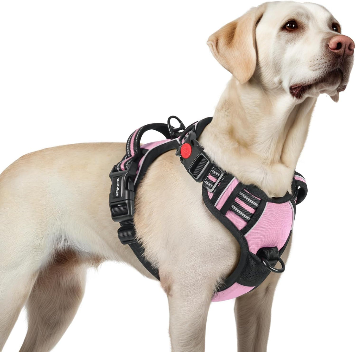 Dog Harness for Large, Updated Easy On & Off with 3 Buckles | No Pull No Choke, Walking with 2 Clips and Handle, Adjustable Soft Reflective, Blue, Large