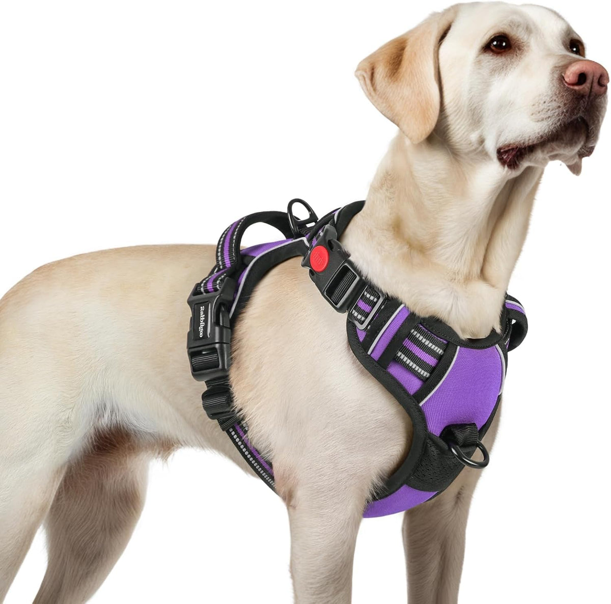 Dog Harness for Large, Updated Easy On & Off with 3 Buckles | No Pull No Choke, Walking with 2 Clips and Handle, Adjustable Soft Reflective, Blue, Large