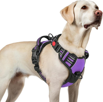 Dog Harness for Large, Updated Easy On & Off with 3 Buckles | No Pull No Choke, Walking with 2 Clips and Handle, Adjustable Soft Reflective, Blue, Large