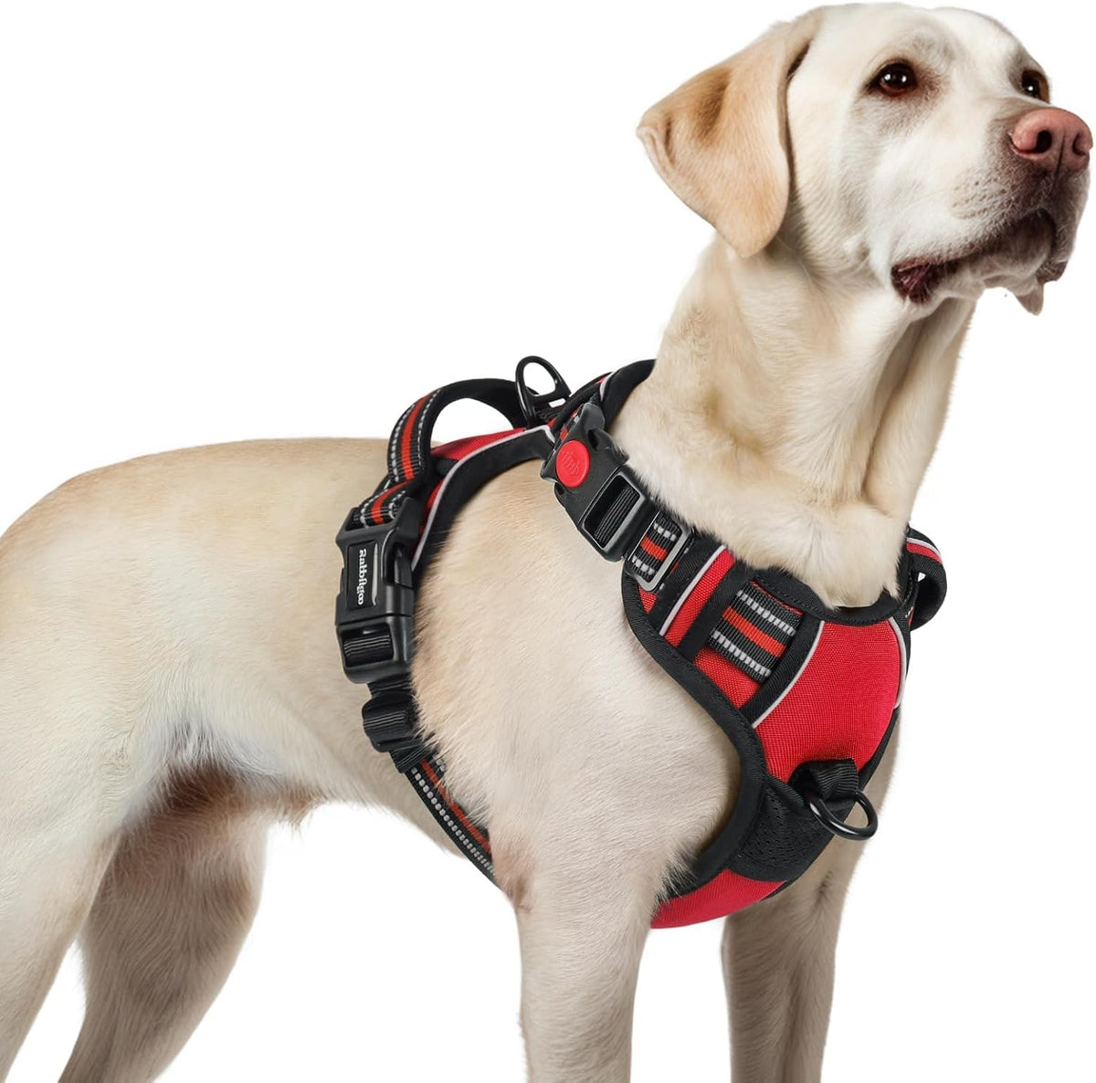 Dog Harness for Large, Updated Easy On & Off with 3 Buckles | No Pull No Choke, Walking with 2 Clips and Handle, Adjustable Soft Reflective, Blue, Large
